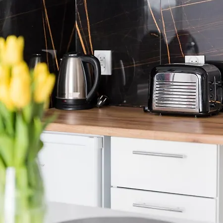 Hania Apartment Danzig