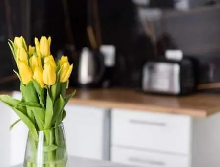 Hania * グダニスク